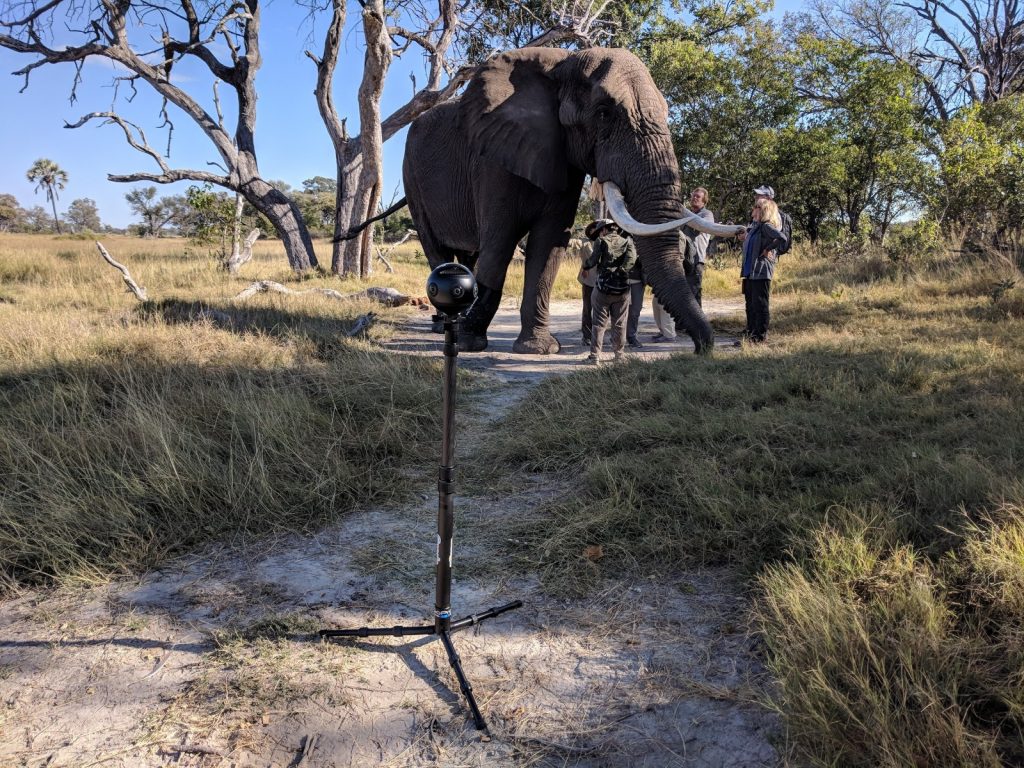 Insta360 Pro capturing an elephant 