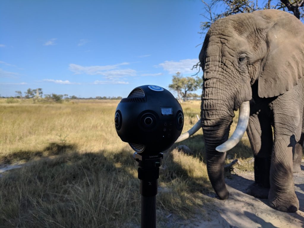 Insta360 Pro with an elephant