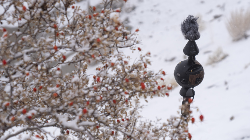 Insta360 Pro 2 in snow