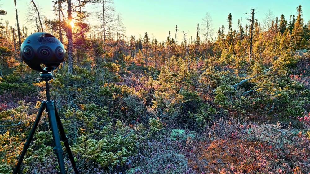 Insta360 Titan in a forest as the sun is setting. Shooting for the immersive virtual reality experience.