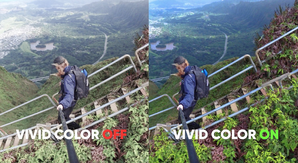 Side by side image showing the vivid color function on and off. 