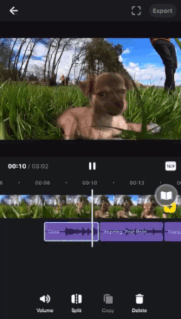 Shows a clip of a dog being edited in the Insta360 app, with multiple audio tracks being used in the same clip.
