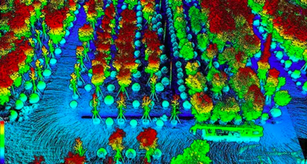 LiDAR mapping of Japanese forest