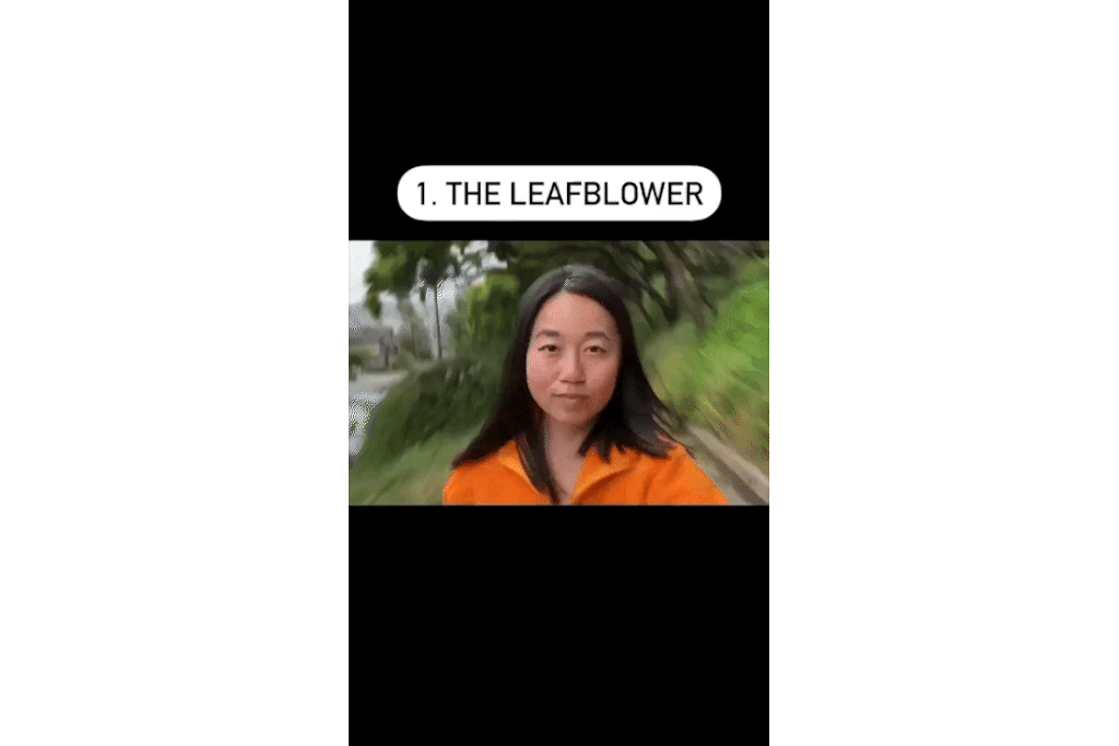interesting and funny leafblower effect using Flow