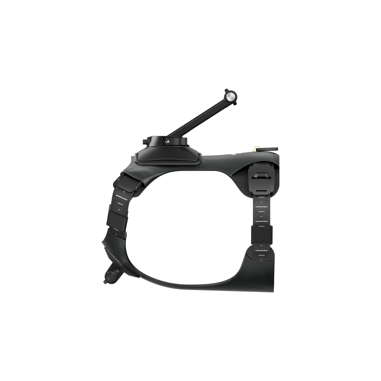 Insta360 GO2 64GB +ペットストラップマウント+レンズガード Insta360 GO2 64GB +ペットストラップマウント+レンズガード