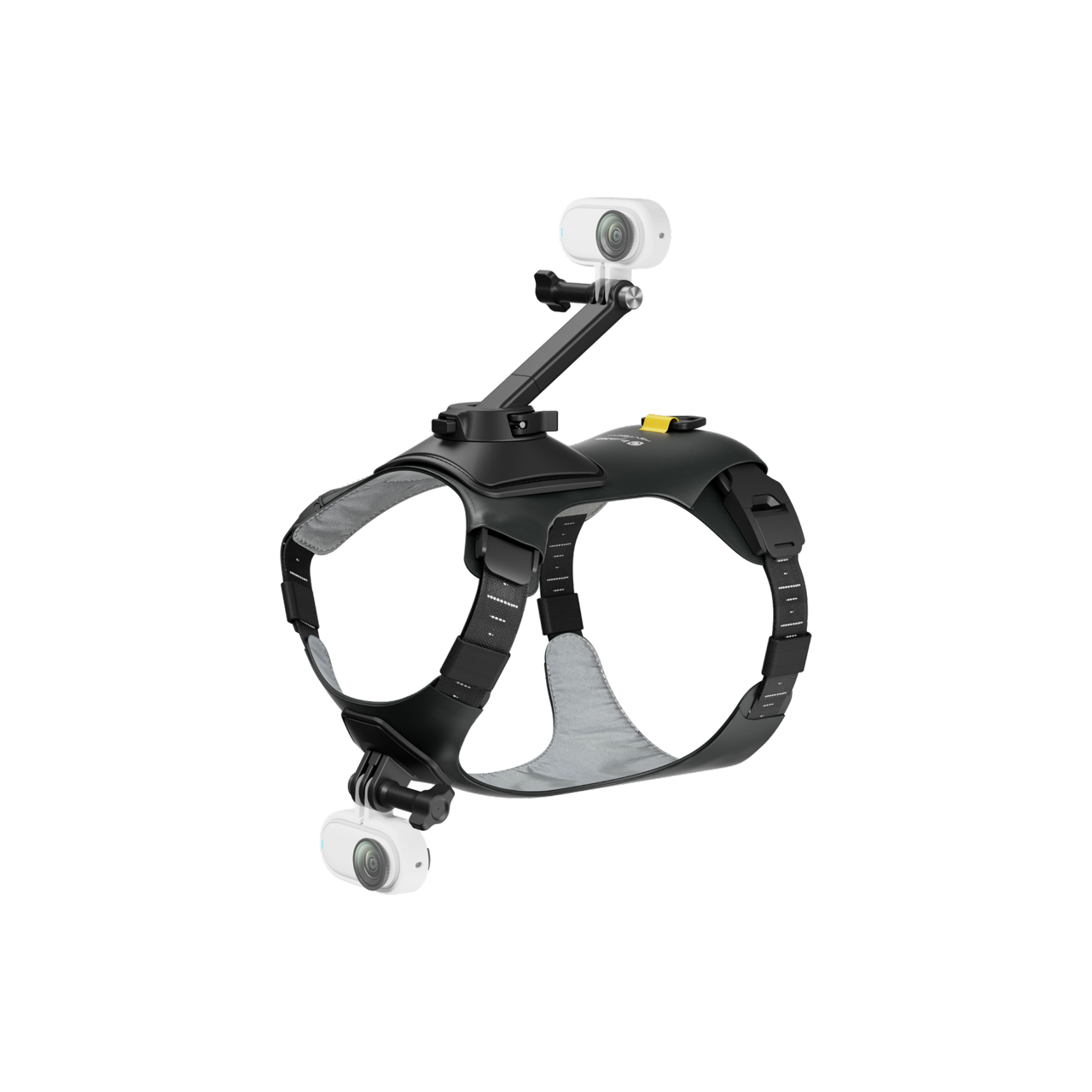 Insta360