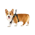 Product content thumbnail 0