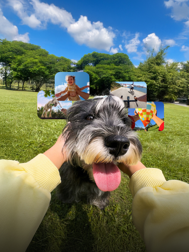 Insta360 POV Challenge