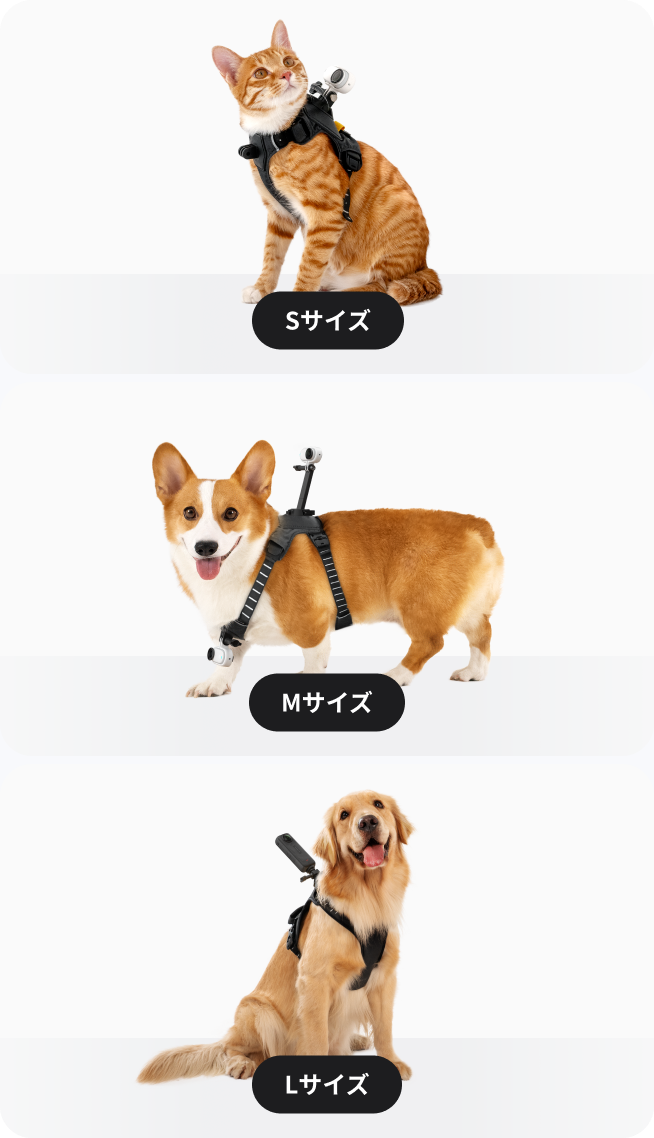 ペット用ハーネスマウント Lサイズを購入する - Insta360公式ストア