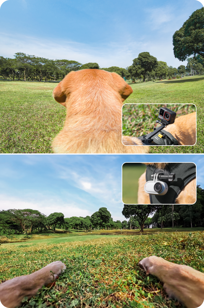ペット用ハーネスマウント Lサイズを購入する - Insta360公式ストア