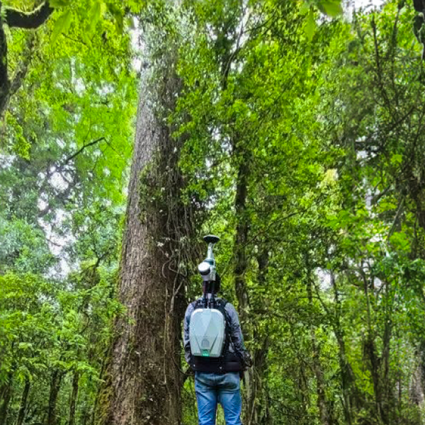 影石行业应用联手数字绿土，助力测绘“亚洲第一高树”