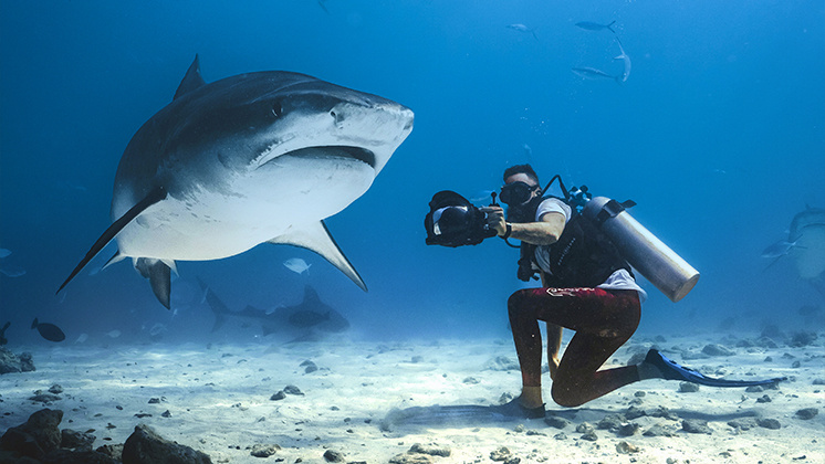 Zimy taking a picture underwater with a shark.
