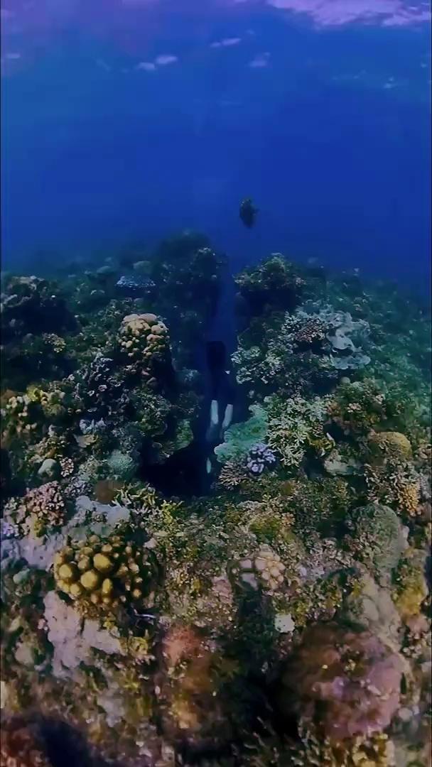 insta360
