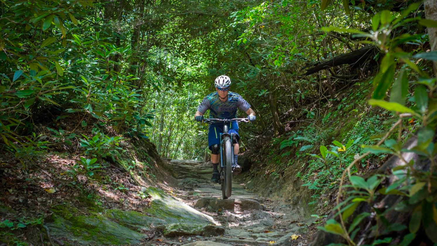 mountain biking trails near pisgah national forest
