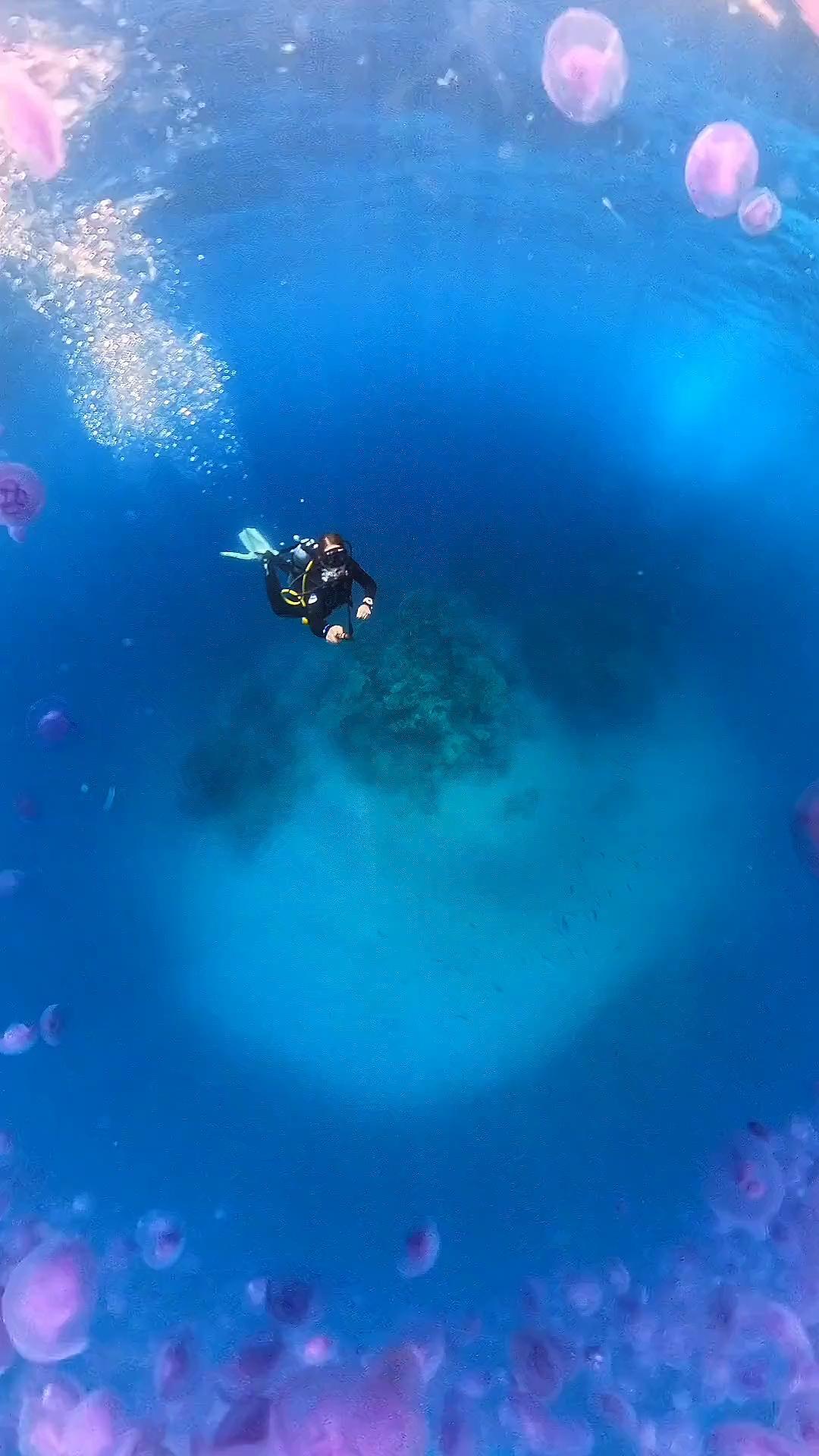 insta360