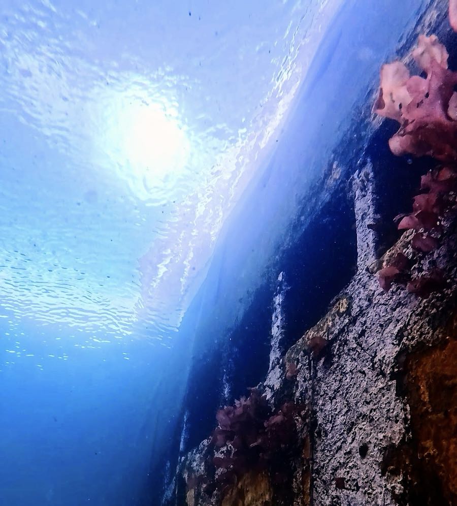 The remains of a whale processing ship 'Guvernøren" underwater in Foyn Harbour.