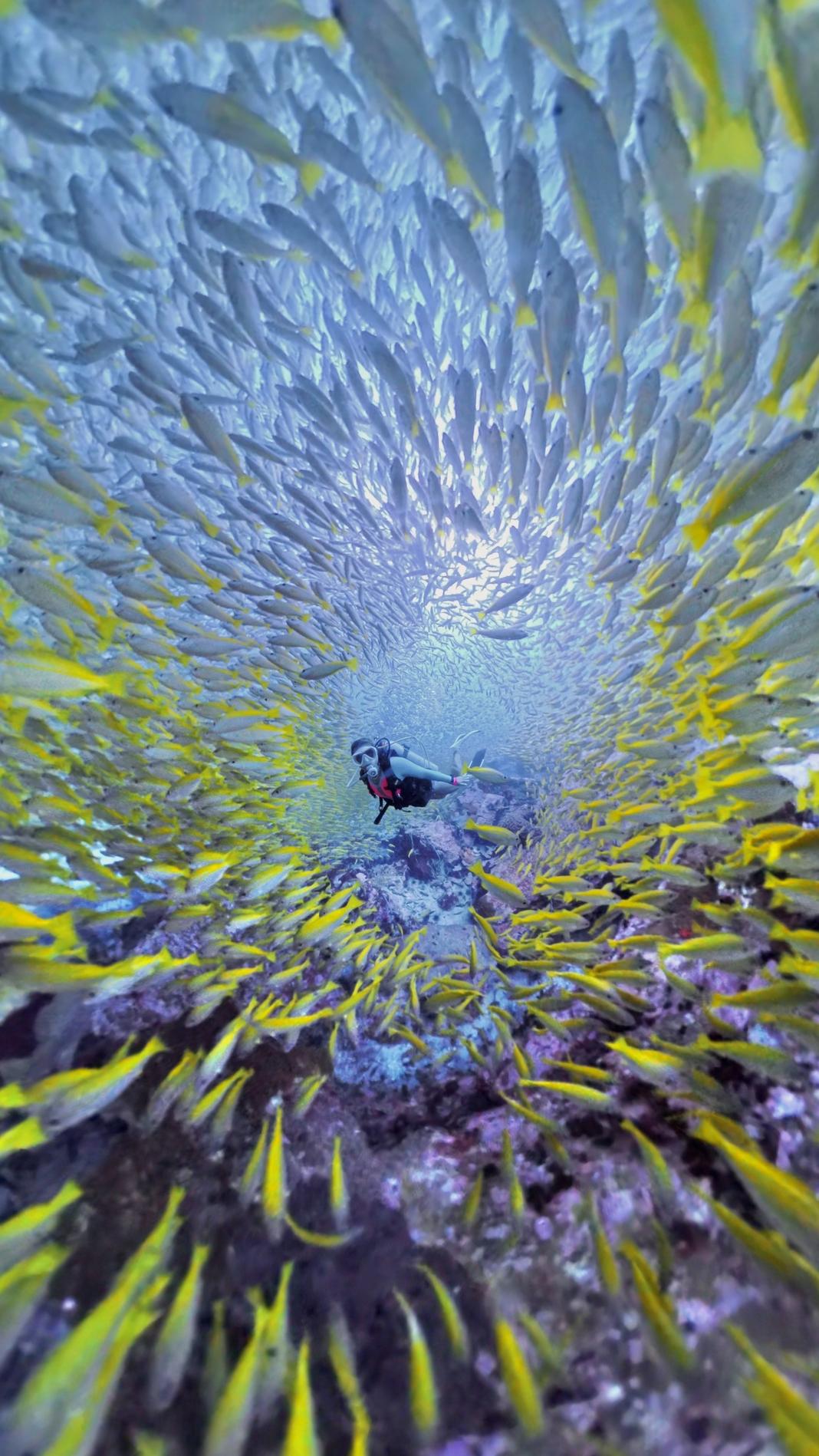 insta360