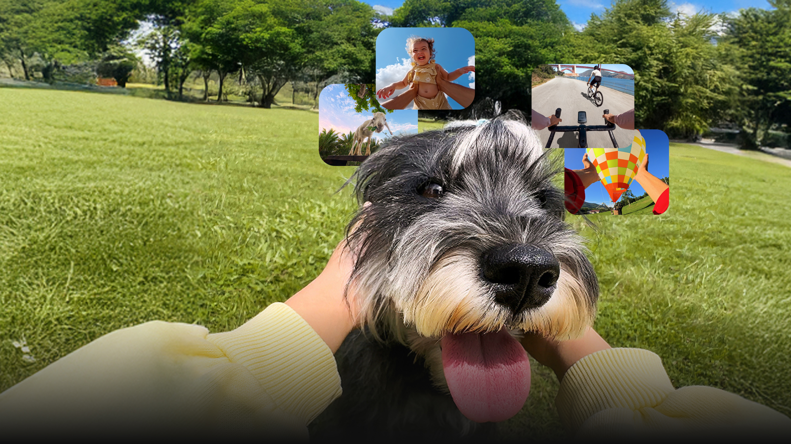 Insta360 POV Challenge