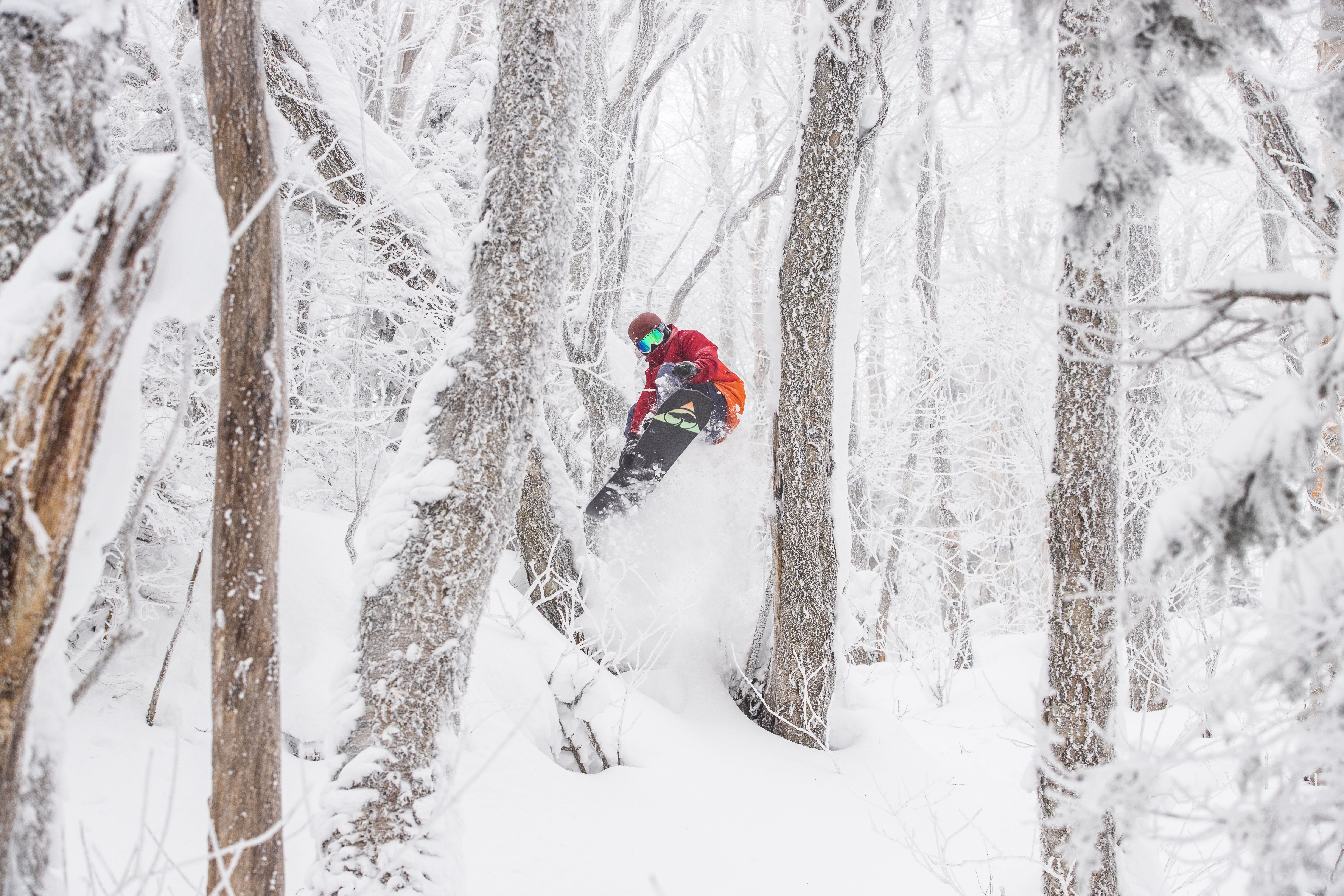 A snowboarder in a red jacket snowboarding through trees at Jay Peak Resort, Vermont.