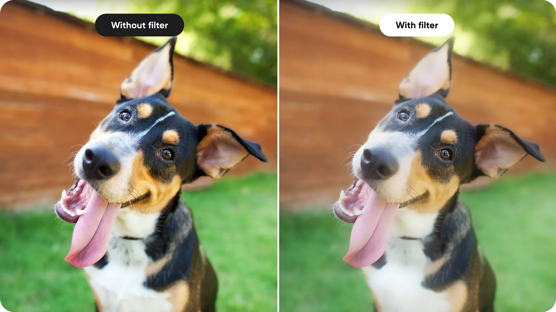 Black Mist Filter — idealny do vlogów i nocnych ujęć