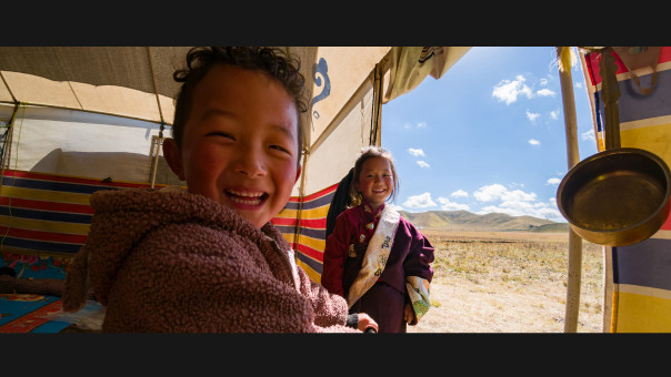 קיט מצלמת אקסטרים Ace Pro 2 Videography Bundle Limited Edition מבית Insta360