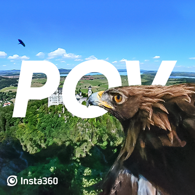Eagle POV: 360 VR Fliegen über das Disneyschloss