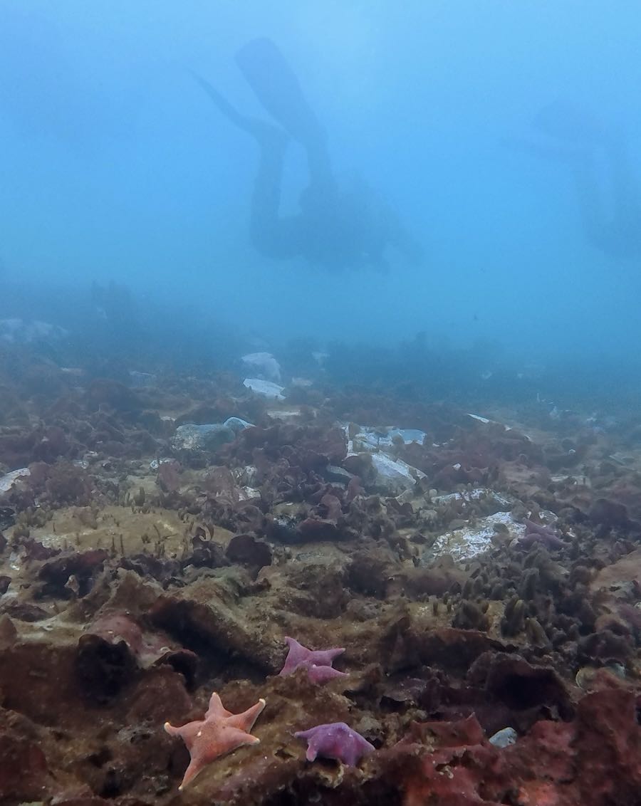 Underwater in Antarctica.