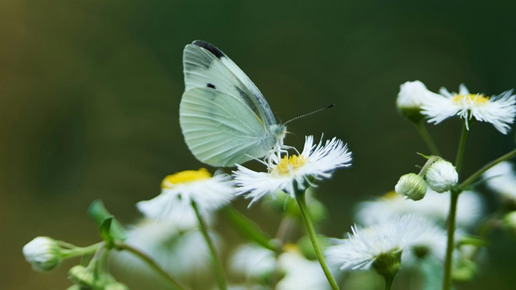 Take photos of beautiful things while hiking.