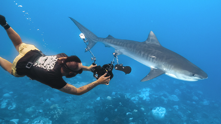 Zimy filming a shark with Insta360 X4 attached to his camera set.