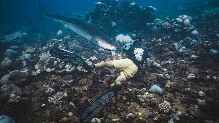 Zimy filming a shark with Insta360 X4 attached to his camera set.