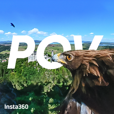 Eagle POV: 360 VR Flying Over Disney Castle